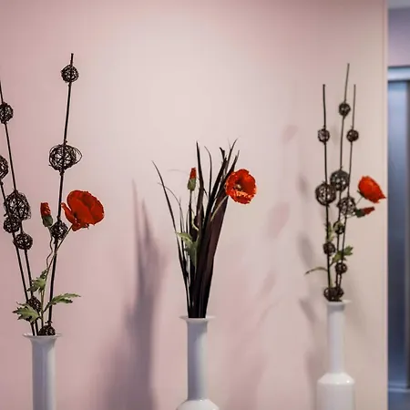 Szálloda Ganter & Restaurant Mohren 3*