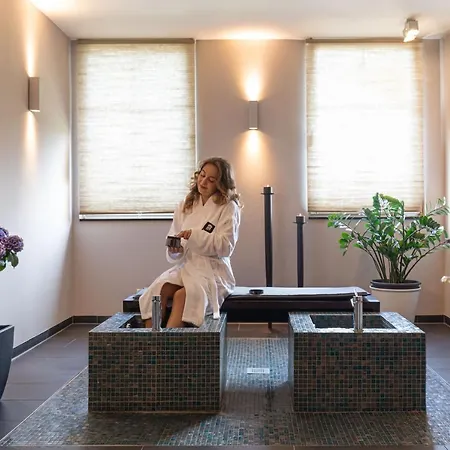 Ganter & Restaurant Mohren 3* Reichenau