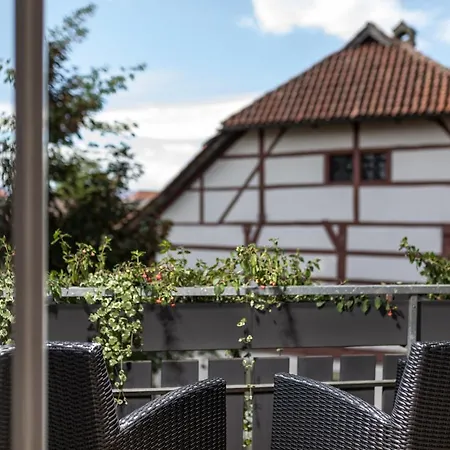 Hotell Ganter & Restaurant Mohren Reichenau