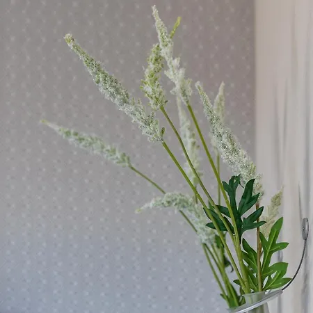 Ganter & Restaurant Mohren