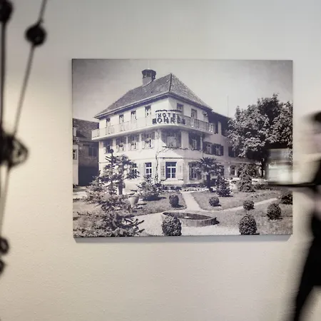 Ganter & Restaurant Mohren 3* Reichenau