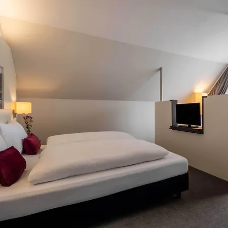 Hotel Ganter & Restaurant Mohren 3*