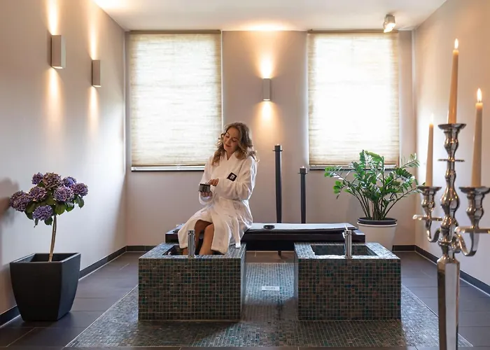 Ganter & Restaurant Mohren 3* Reichenau