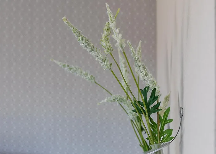 Ganter & Restaurant Mohren