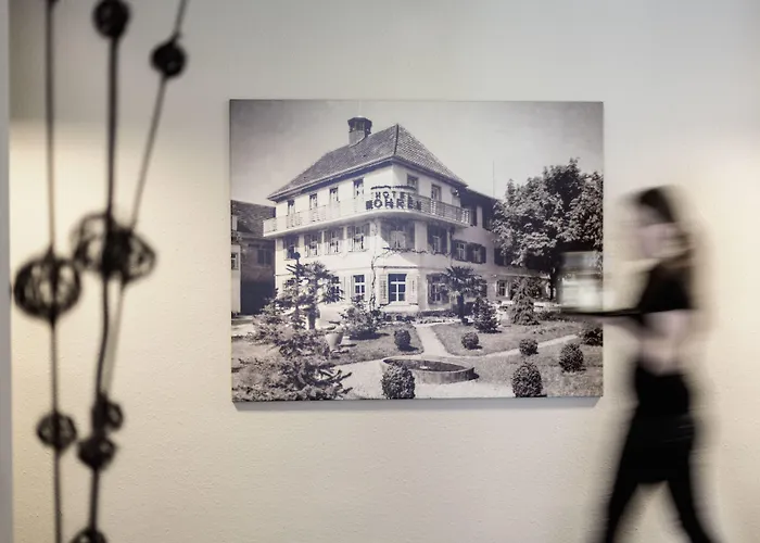 Ganter & Restaurant Mohren 3* Reichenau