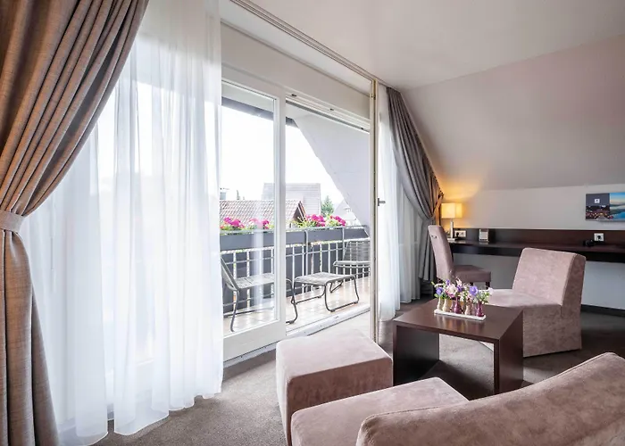 Hotel Ganter & Restaurant Mohren 3*